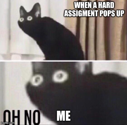 Oh no cat | WHEN A HARD ASSIGMENT POPS UP; ME | image tagged in oh no cat | made w/ Imgflip meme maker
