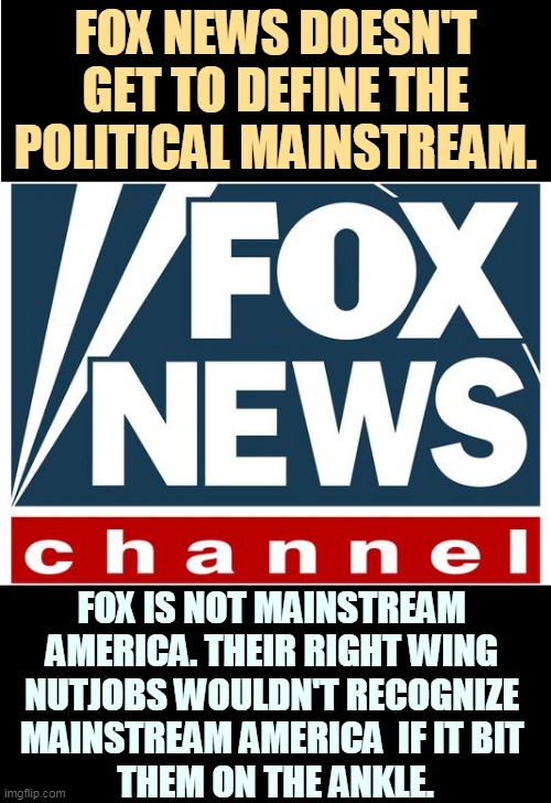Fox is not mainstream anything. They are extreme right wing and divorced from reality. | FOX NEWS DOESN'T GET TO DEFINE THE POLITICAL MAINSTREAM. FOX IS NOT MAINSTREAM 
AMERICA. THEIR RIGHT WING 
NUTJOBS WOULDN'T RECOGNIZE 
MAINSTREAM AMERICA  IF IT BIT 
THEM ON THE ANKLE. | image tagged in fox news,right wing,nuts,crazy,insane | made w/ Imgflip meme maker
