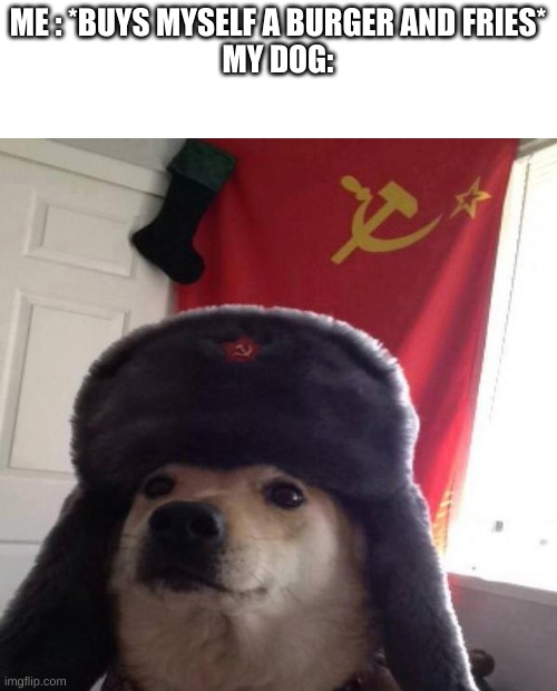 Bringing food home be like: | ME : *BUYS MYSELF A BURGER AND FRIES*
MY DOG: | image tagged in russian doge | made w/ Imgflip meme maker