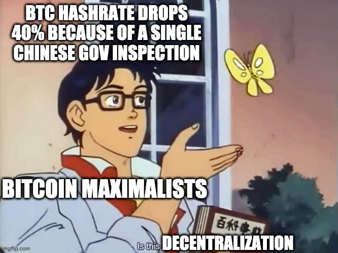 ANIME BUTTERFLY MEME | BTC HASHRATE DROPS 40% BECAUSE OF A SINGLE CHINESE GOV INSPECTION; BITCOIN MAXIMALISTS; DECENTRALIZATION | image tagged in anime butterfly meme | made w/ Imgflip meme maker