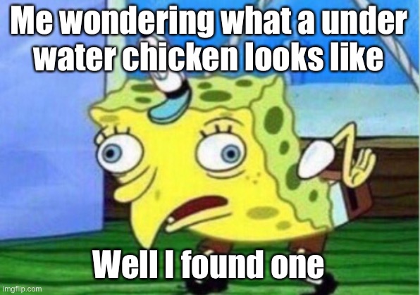 An under water chicken | Me wondering what a under
water chicken looks like; Well I found one | image tagged in memes,mocking spongebob | made w/ Imgflip meme maker