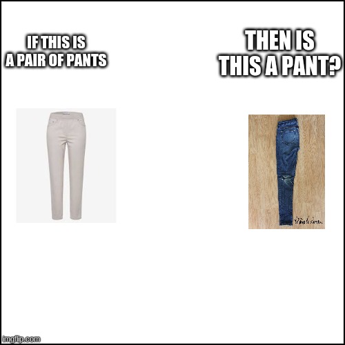 We have been living the wrong way all along | THEN IS THIS A PANT? IF THIS IS A PAIR OF PANTS | image tagged in funny | made w/ Imgflip meme maker