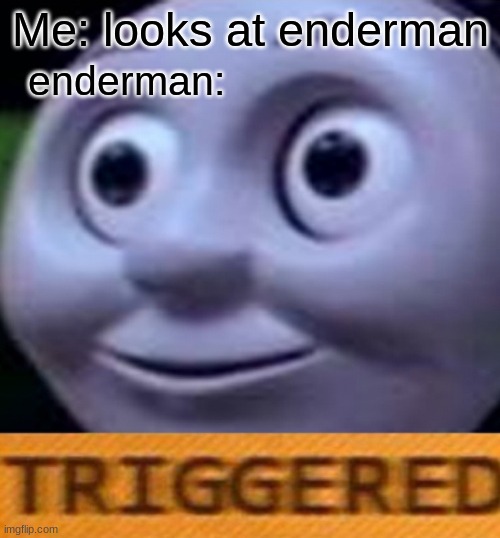Triggered | Me: looks at enderman; enderman: | image tagged in triggered | made w/ Imgflip meme maker