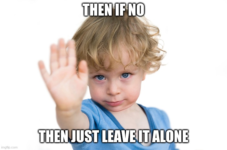 stop | THEN IF NO THEN JUST LEAVE IT ALONE | image tagged in stop | made w/ Imgflip meme maker