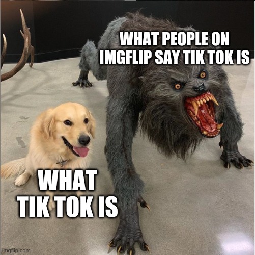 it's the people on tik tok who are idiots not the actual app | WHAT PEOPLE ON IMGFLIP SAY TIK TOK IS; WHAT TIK TOK IS | image tagged in dog vs werewolf | made w/ Imgflip meme maker