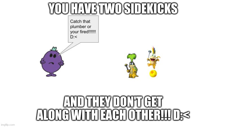 Regular Adventures of Iggy Koopa and Lemmy Koopa | YOU HAVE TWO SIDEKICKS; AND THEY DON'T GET ALONG WITH EACH OTHER!!! D:< | image tagged in they are the same picture,they had us in the first half | made w/ Imgflip meme maker