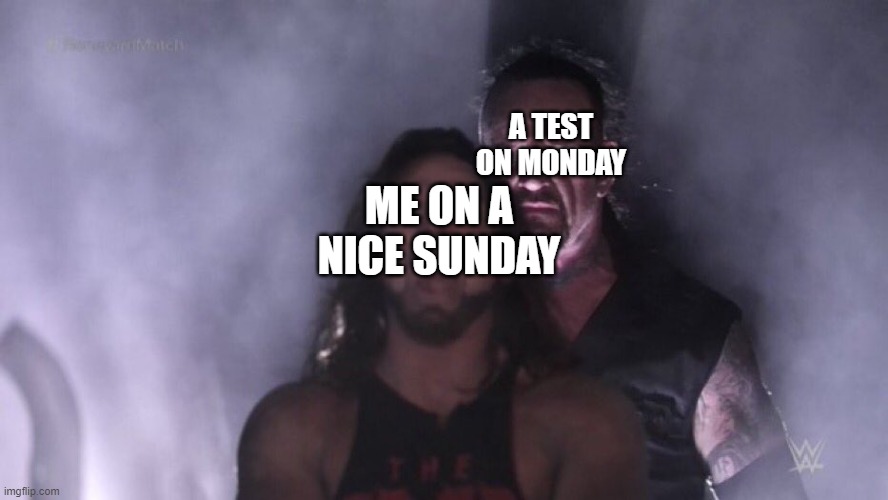 Sundays | A TEST ON MONDAY; ME ON A NICE SUNDAY | image tagged in aj styles undertaker | made w/ Imgflip meme maker