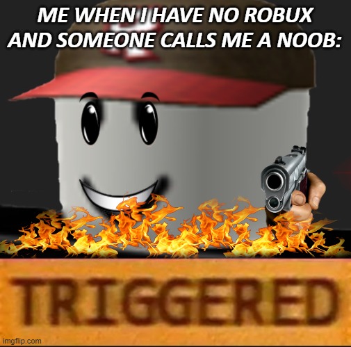 I'M NOT A NOOB BURNT ROACH! | ME WHEN I HAVE NO ROBUX AND SOMEONE CALLS ME A NOOB: | image tagged in noob,roblox | made w/ Imgflip meme maker