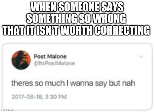 But Nah.Jpg | WHEN SOMEONE SAYS SOMETHING SO WRONG 
THAT IT ISN'T WORTH CORRECTING | image tagged in funny memes | made w/ Imgflip meme maker