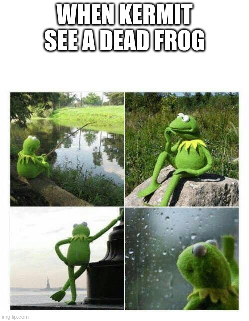 kermit sad montage compilation | WHEN KERMIT SEE A DEAD FROG | image tagged in kermit sad montage compilation | made w/ Imgflip meme maker