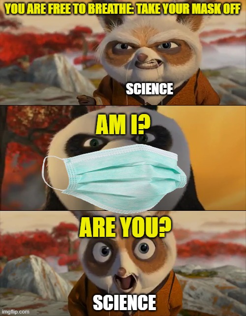 Stanford Peer Reviewed Study: Masks Ineffective at Blocking Human-to-Human Transmission of Covid-19 | YOU ARE FREE TO BREATHE: TAKE YOUR MASK OFF; SCIENCE; AM I? ARE YOU? SCIENCE | image tagged in masks,kung fu panda | made w/ Imgflip meme maker