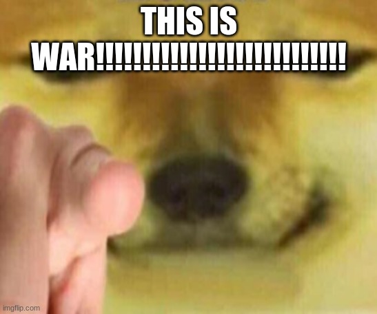 Cheems Pointing At You | THIS IS WAR!!!!!!!!!!!!!!!!!!!!!!!!!!! | image tagged in cheems pointing at you | made w/ Imgflip meme maker
