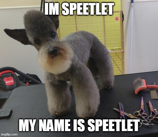 sp | IM SPEETLET; MY NAME IS SPEETLET | image tagged in speetlet | made w/ Imgflip meme maker