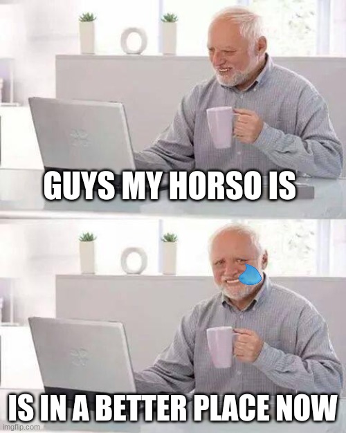 Hide the Pain Harold Meme | GUYS MY HORSO IS; IS IN A BETTER PLACE NOW | image tagged in memes,hide the pain harold | made w/ Imgflip meme maker
