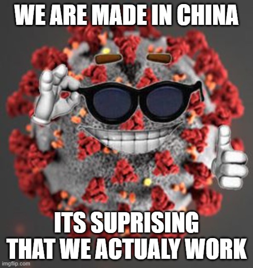 Coronavirus | WE ARE MADE IN CHINA; ITS SURPRISING THAT WE ACTUALLY WORK | image tagged in coronavirus | made w/ Imgflip meme maker