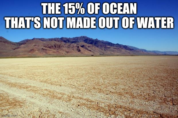 Desert Large dry | THE 15% OF OCEAN THAT'S NOT MADE OUT OF WATER | image tagged in desert large dry | made w/ Imgflip meme maker