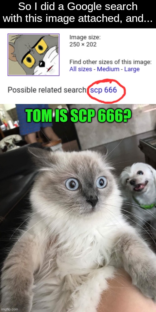 wait... a... minute | So I did a Google search with this image attached, and... TOM IS SCP 666? | image tagged in mindblown cat,tom and jerry,memes,funny | made w/ Imgflip meme maker
