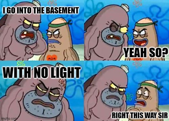 How Tough Are You | I GO INTO THE BASEMENT; YEAH SO? WITH NO LIGHT; RIGHT THIS WAY SIR | image tagged in memes,how tough are you | made w/ Imgflip meme maker