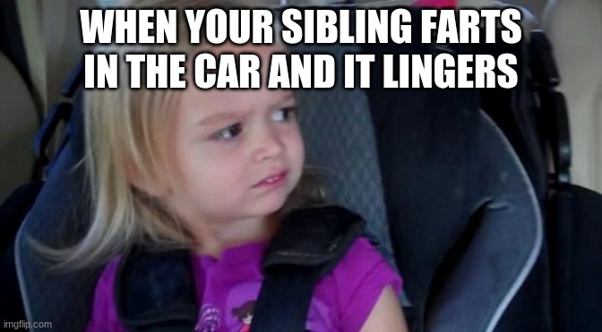 Funny Meme | WHEN YOUR SIBLING FARTS IN THE CAR AND IT LINGERS | image tagged in funny meme | made w/ Imgflip meme maker
