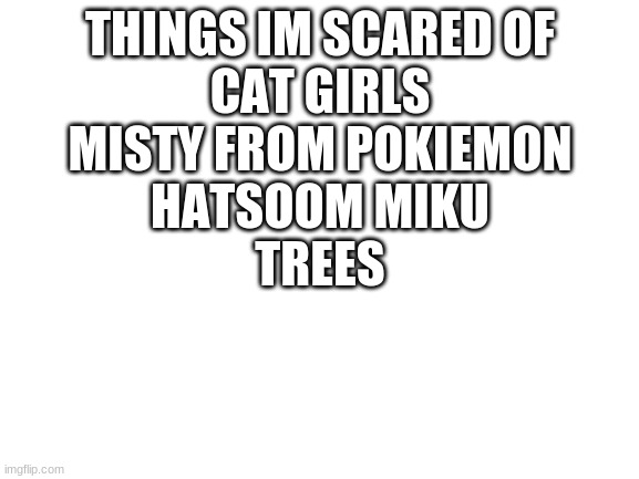 Blank White Template | THINGS IM SCARED OF
CAT GIRLS
MISTY FROM POKIEMON
HATSOOM MIKU
TREES | image tagged in blank white template | made w/ Imgflip meme maker