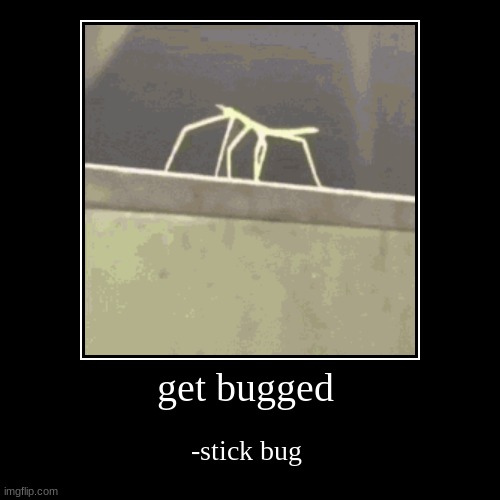 get stick bugged | image tagged in funny,demotivationals | made w/ Imgflip demotivational maker