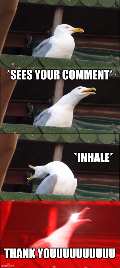 Inhaling Seagull Meme | *SEES YOUR COMMENT* *INHALE* THANK YOUUUUUUUUUU | image tagged in memes,inhaling seagull | made w/ Imgflip meme maker