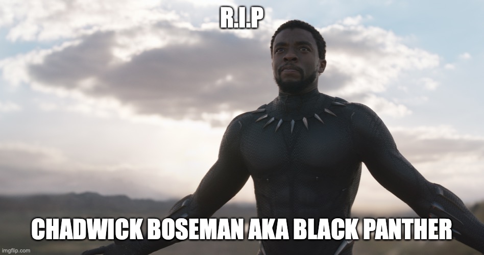 Black Panther Spotlight | R.I.P CHADWICK BOSEMAN AKA BLACK PANTHER | image tagged in black panther spotlight | made w/ Imgflip meme maker