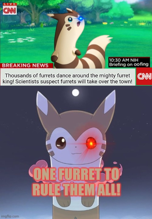 Furret King shall not be denied! | image tagged in furret,pokemon,furret breaking news | made w/ Imgflip meme maker