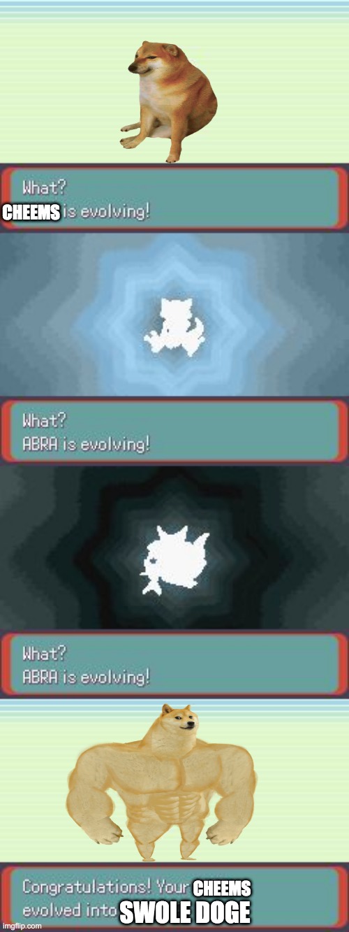 EvOlvInG | CHEEMS; CHEEMS; SWOLE DOGE | image tagged in pokemon evolving | made w/ Imgflip meme maker