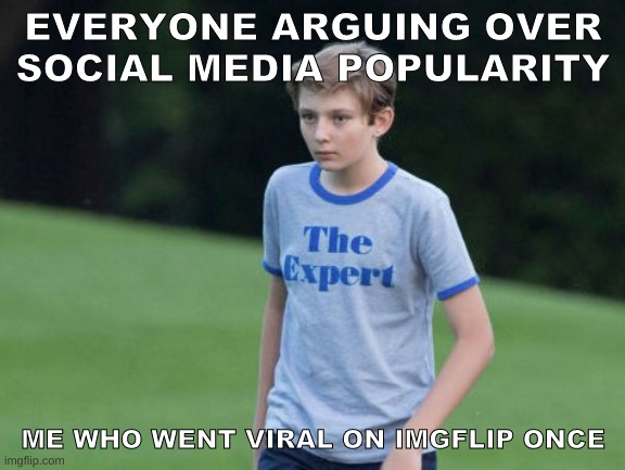 The Expert | EVERYONE ARGUING OVER SOCIAL MEDIA POPULARITY; ME WHO WENT VIRAL ON IMGFLIP ONCE | image tagged in the expert | made w/ Imgflip meme maker