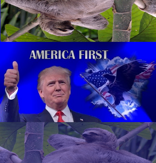 America First sloths 2 Blank Meme Template