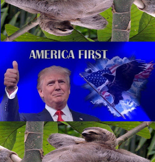 America First sloths 3 Blank Meme Template