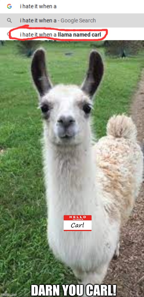 DARN YOU CARL! | image tagged in llama | made w/ Imgflip meme maker