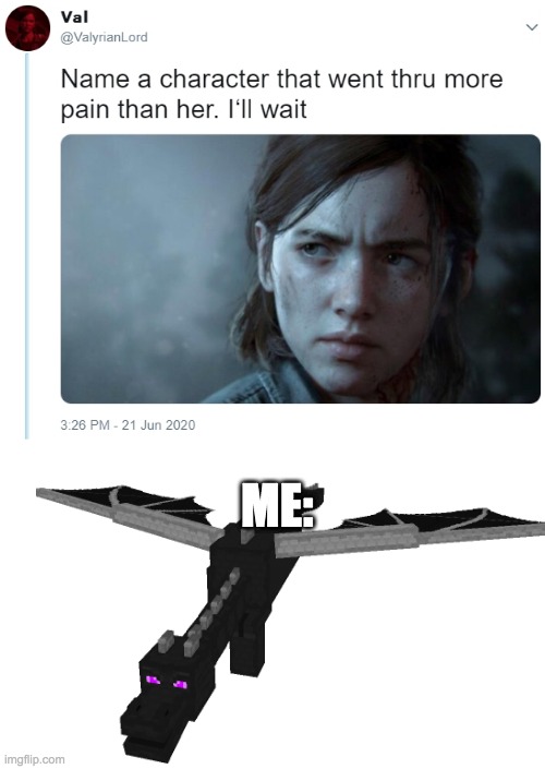 Ender dragon go brrrrrrrrrrr | ME: | image tagged in name one character who went through more pain than her | made w/ Imgflip meme maker