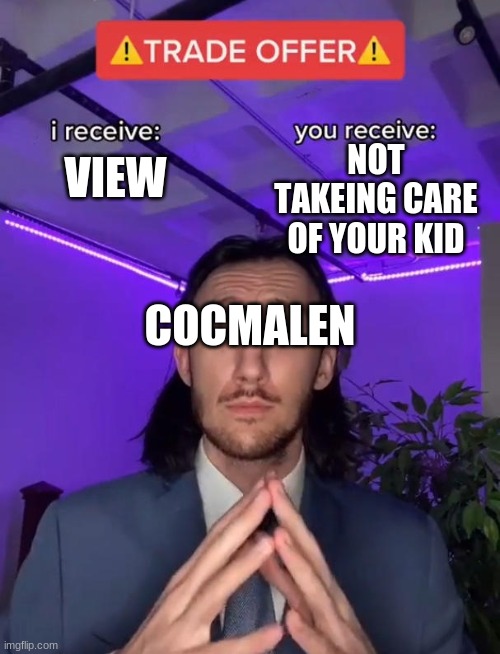 Trade Offer | NOT TAKEING CARE OF YOUR KID; VIEW; COCMALEN | image tagged in trade offer | made w/ Imgflip meme maker