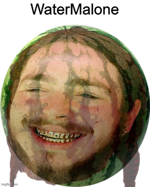 WaterMalone | WaterMalone | image tagged in i,hate,tags | made w/ Imgflip meme maker