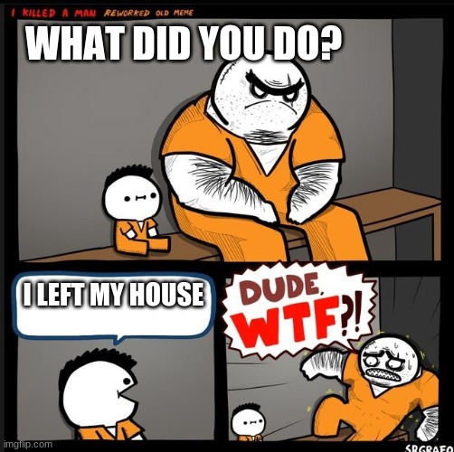 Srgrafo dude wtf | WHAT DID YOU DO? I LEFT MY HOUSE | image tagged in srgrafo dude wtf | made w/ Imgflip meme maker