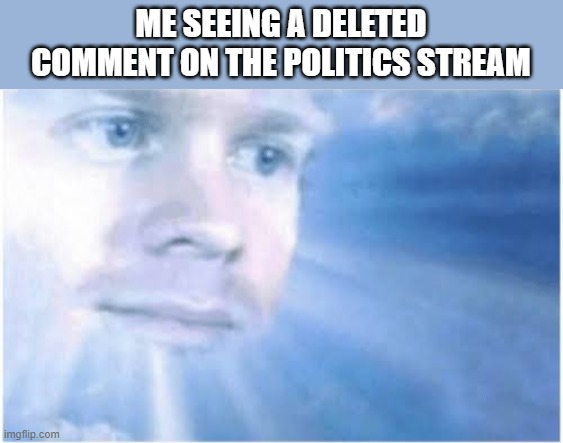 Disappointment | ME SEEING A DELETED COMMENT ON THE POLITICS STREAM | image tagged in in heaven looking down,memes,funny | made w/ Imgflip meme maker
