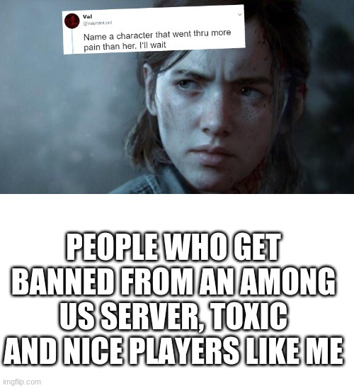 I hate being banned | PEOPLE WHO GET BANNED FROM AN AMONG US SERVER, TOXIC AND NICE PLAYERS LIKE ME | image tagged in name someone who has been through more pain | made w/ Imgflip meme maker