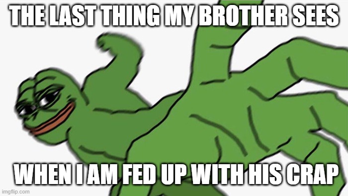 The last thing my brother sees | THE LAST THING MY BROTHER SEES; WHEN I AM FED UP WITH HIS CRAP | image tagged in pepe punch | made w/ Imgflip meme maker