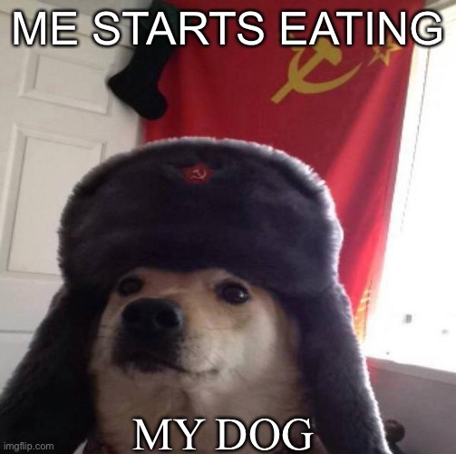 Bruh | ME STARTS EATING; MY DOG | image tagged in russian doge | made w/ Imgflip meme maker