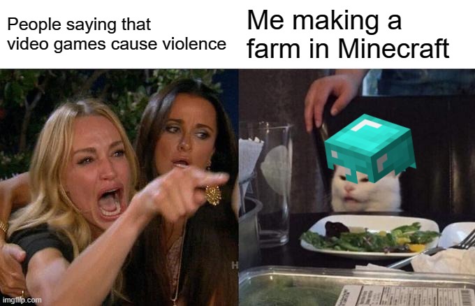 Violent Minecraft | People saying that video games cause violence; Me making a farm in Minecraft | image tagged in memes,woman yelling at cat | made w/ Imgflip meme maker