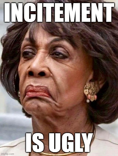 Maxine Waters | INCITEMENT; IS UGLY | image tagged in maxine waters | made w/ Imgflip meme maker
