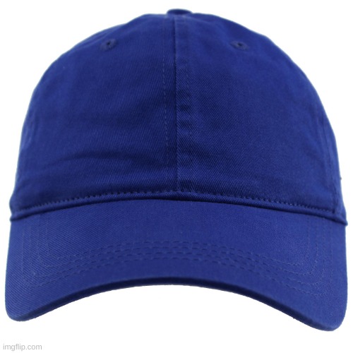 blue hat | image tagged in blue hat | made w/ Imgflip meme maker