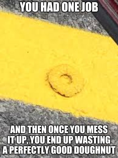 I couldve eaten that doughnut | YOU HAD ONE JOB; AND THEN ONCE YOU MESS IT UP, YOU END UP WASTING A PERFECTLY GOOD DOUGHNUT | made w/ Imgflip meme maker