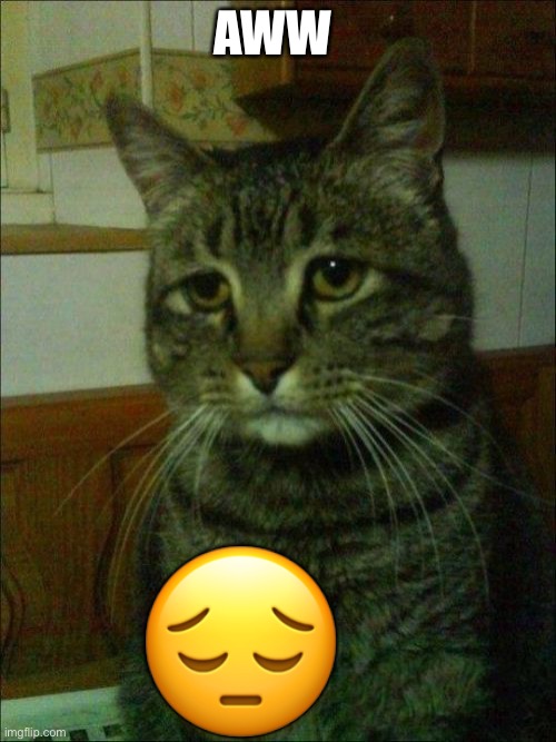 Depressed Cat Meme | AWW ? | image tagged in memes,depressed cat | made w/ Imgflip meme maker