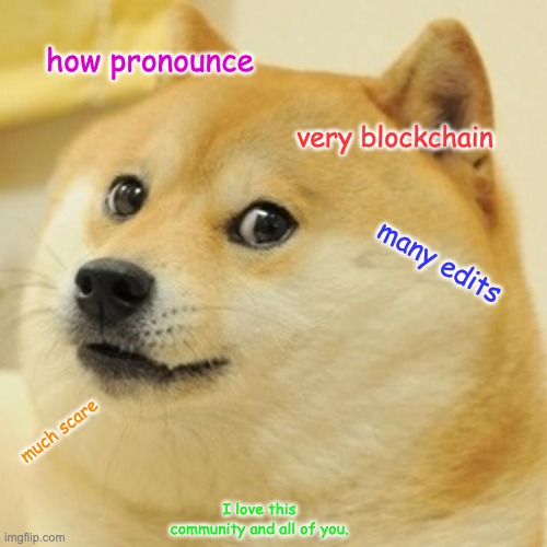 Much wow | how pronounce; very blockchain; many edits; much scare; I love this community and all of you. | image tagged in memes,doge,dogecoin,crypto,reddit | made w/ Imgflip meme maker