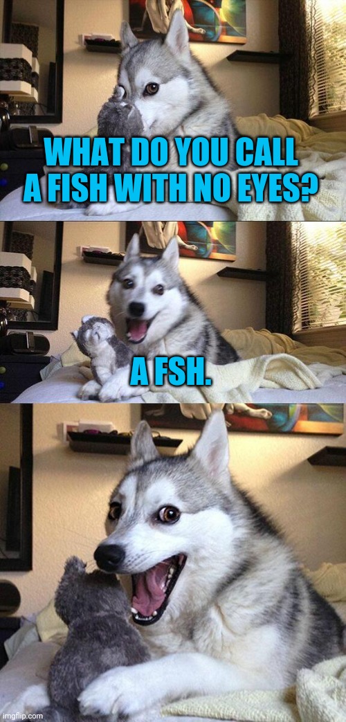 Fish pun | WHAT DO YOU CALL A FISH WITH NO EYES? A FSH. | image tagged in bad pun dog,eyeroll,puns,funny,fish | made w/ Imgflip meme maker