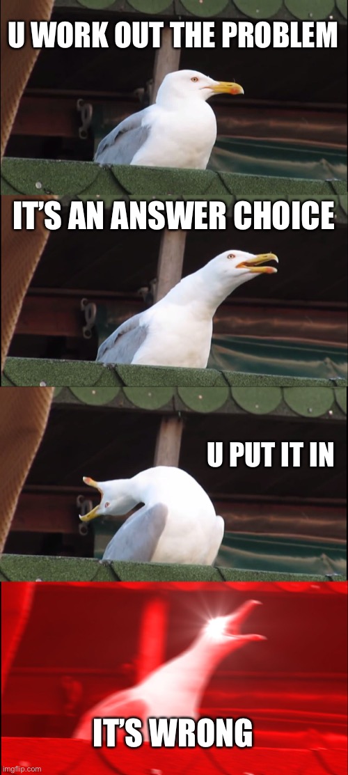 When This happens :( | U WORK OUT THE PROBLEM; IT’S AN ANSWER CHOICE; U PUT IT IN; IT’S WRONG | image tagged in memes,inhaling seagull,funny,funny memes | made w/ Imgflip meme maker