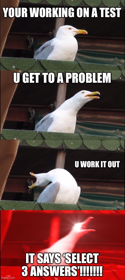 I FN HATE IT WHEN THIS HAPPENS!!!! | YOUR WORKING ON A TEST; U GET TO A PROBLEM; U WORK IT OUT; IT SAYS ‘SELECT 3 ANSWERS’!!!!!!! | image tagged in memes,inhaling seagull | made w/ Imgflip meme maker